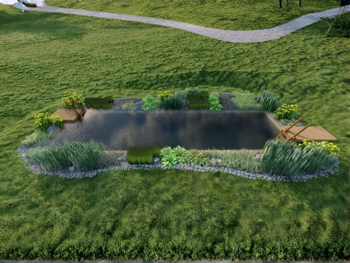South Wales Swimpond Render2