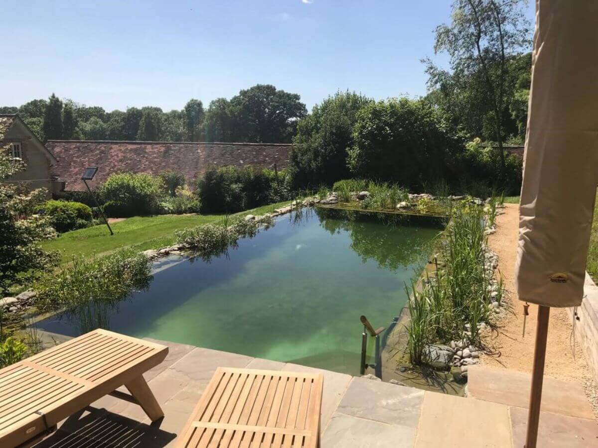 South Wiltshire Formal Swimming Pond 3 months later