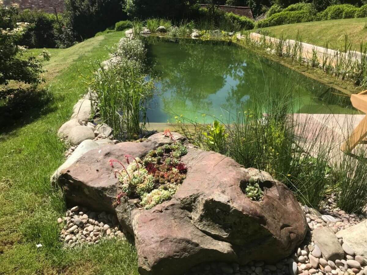 South Wiltshire Formal Swimming Pond 3 Months Later