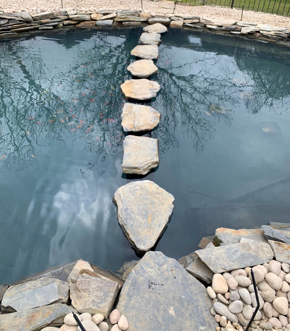 Stepping Stones In Pond