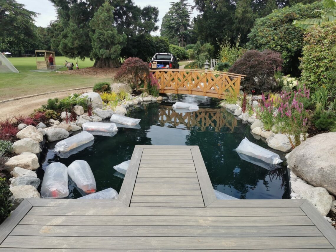 Stoke Park Koi Settling In To New Home