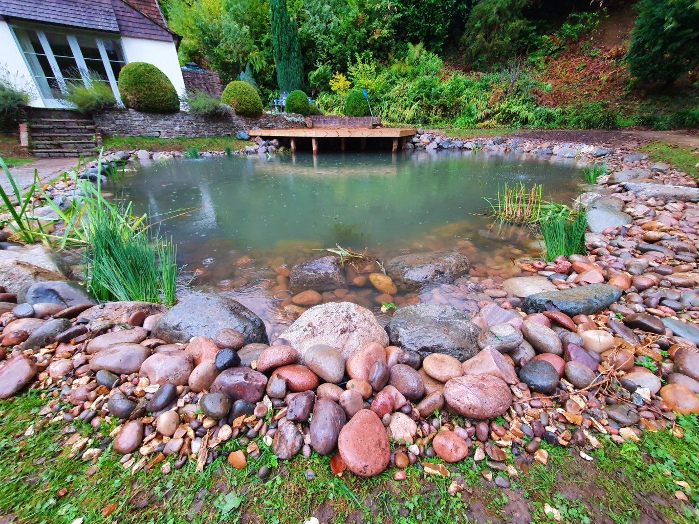 What Is A Pond Ecosystem? Ponds by Michael Wheat