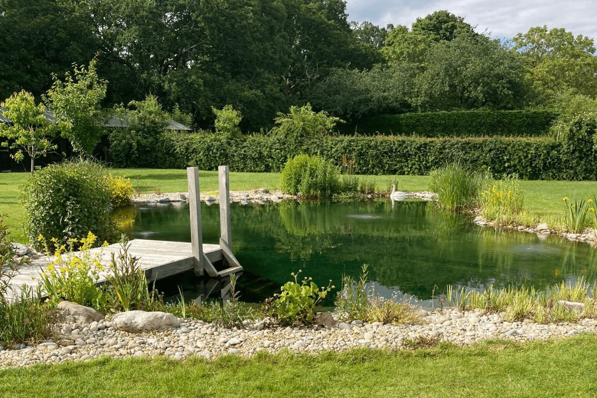 Swimming Ponds 2025 7 Swimpond 2