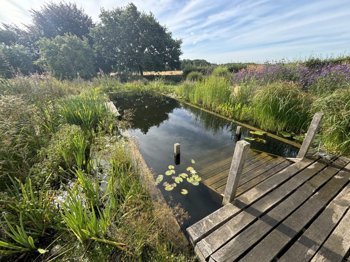 Swimming Ponds 13 Swimpond Suffolk 1536x1152 1