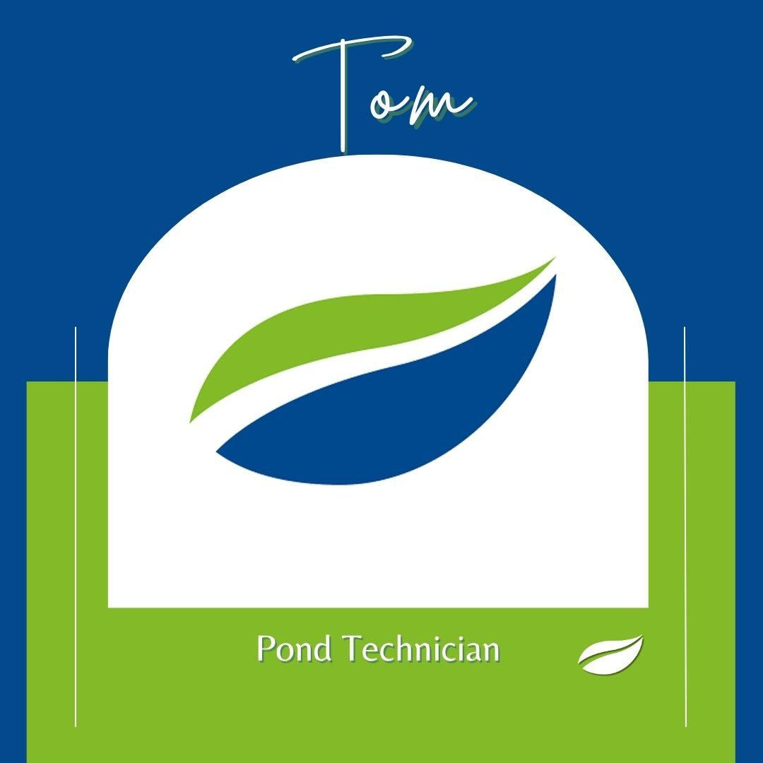 Our Team 14 Tom Pond Tech