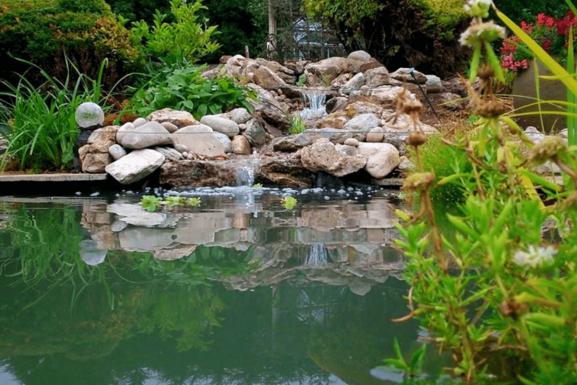 pond with waterfall