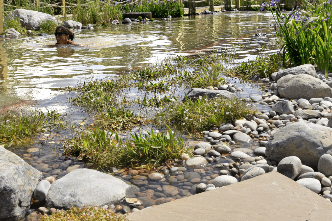 Woman Swimming In Natural Swimming Pond