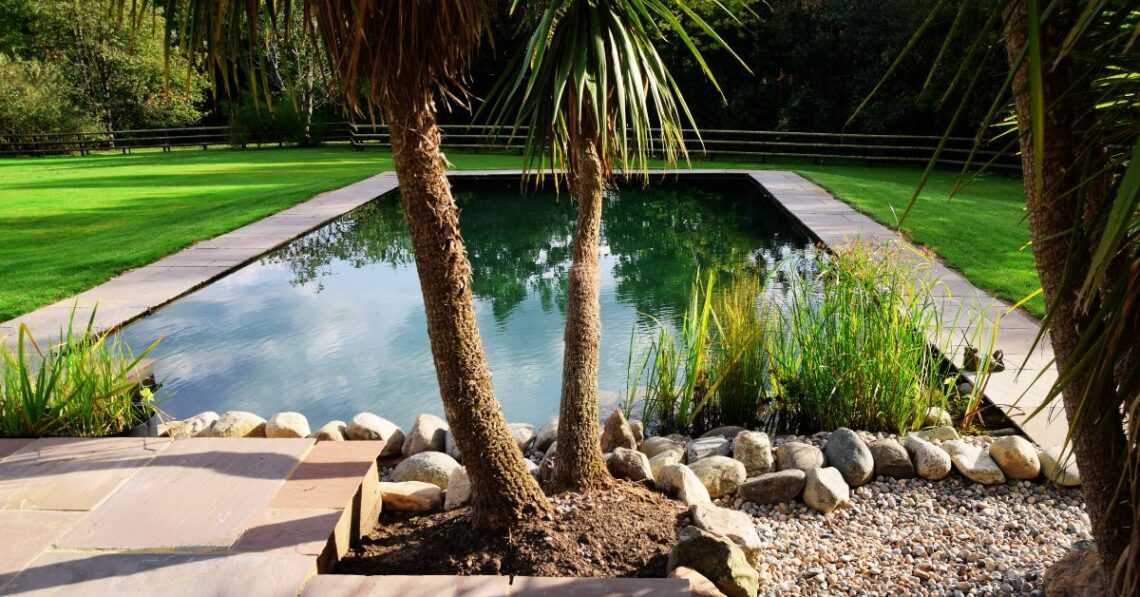 Natural Swimming Pond