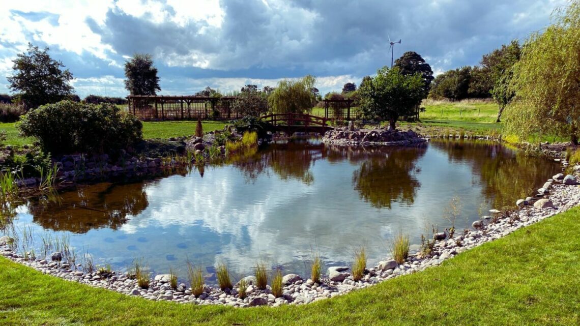 Ponds & Lake Costs 6 Untitled design 3 scaled