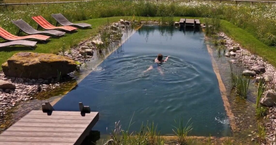 Commercial SwimPond Project - South Wales 13 Walled Swimming Ponds South Wales