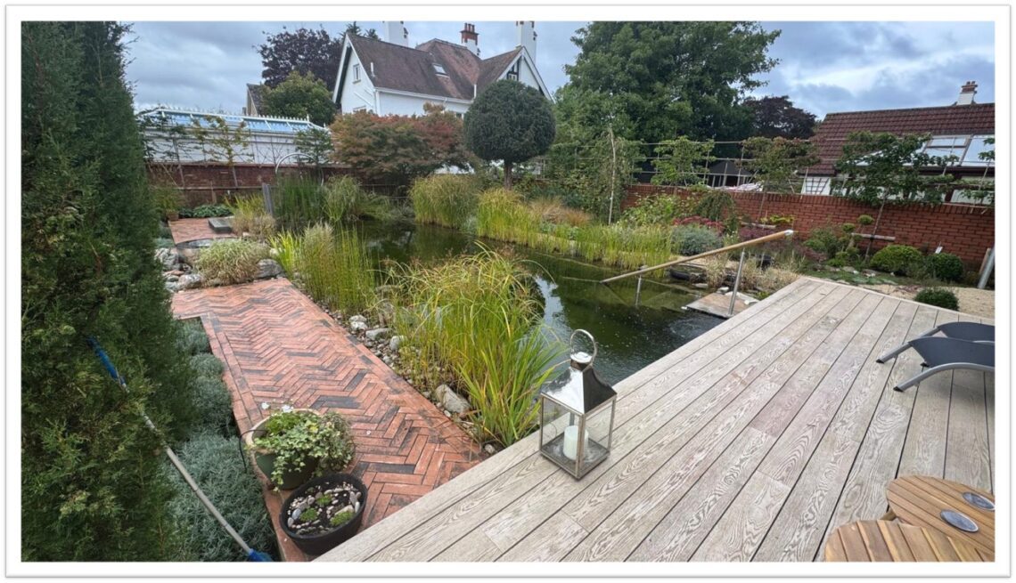 Swimming Pond Costs 7 Walled swimpond 13x6 1