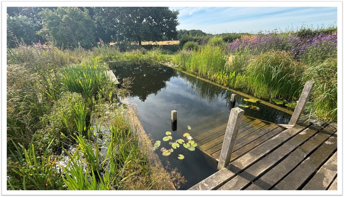 Swimming Pond Costs 5 Walled swimpond 14x7 1