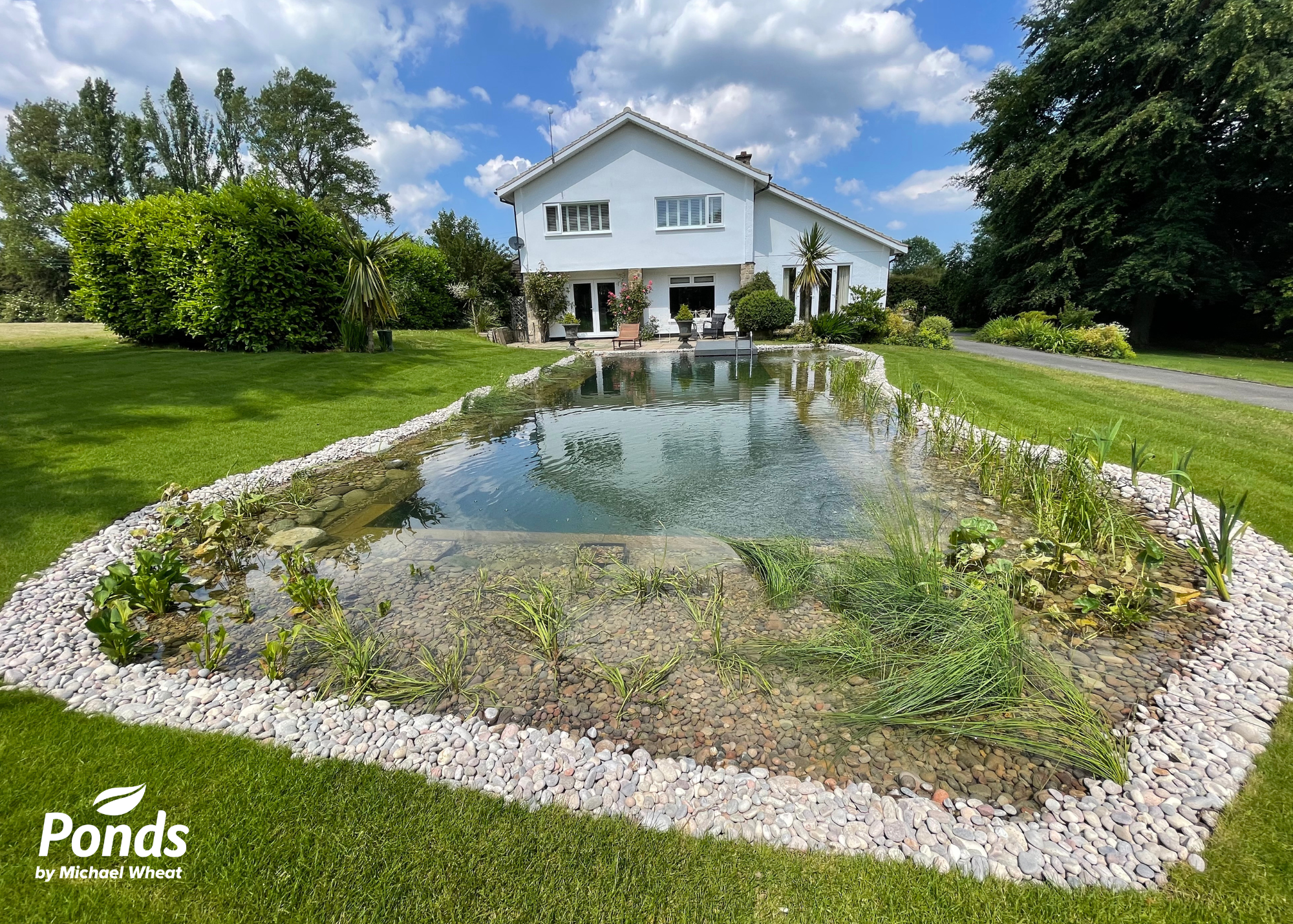 SwimPond Project - North Yorkshire - Ponds By Michael Wheat