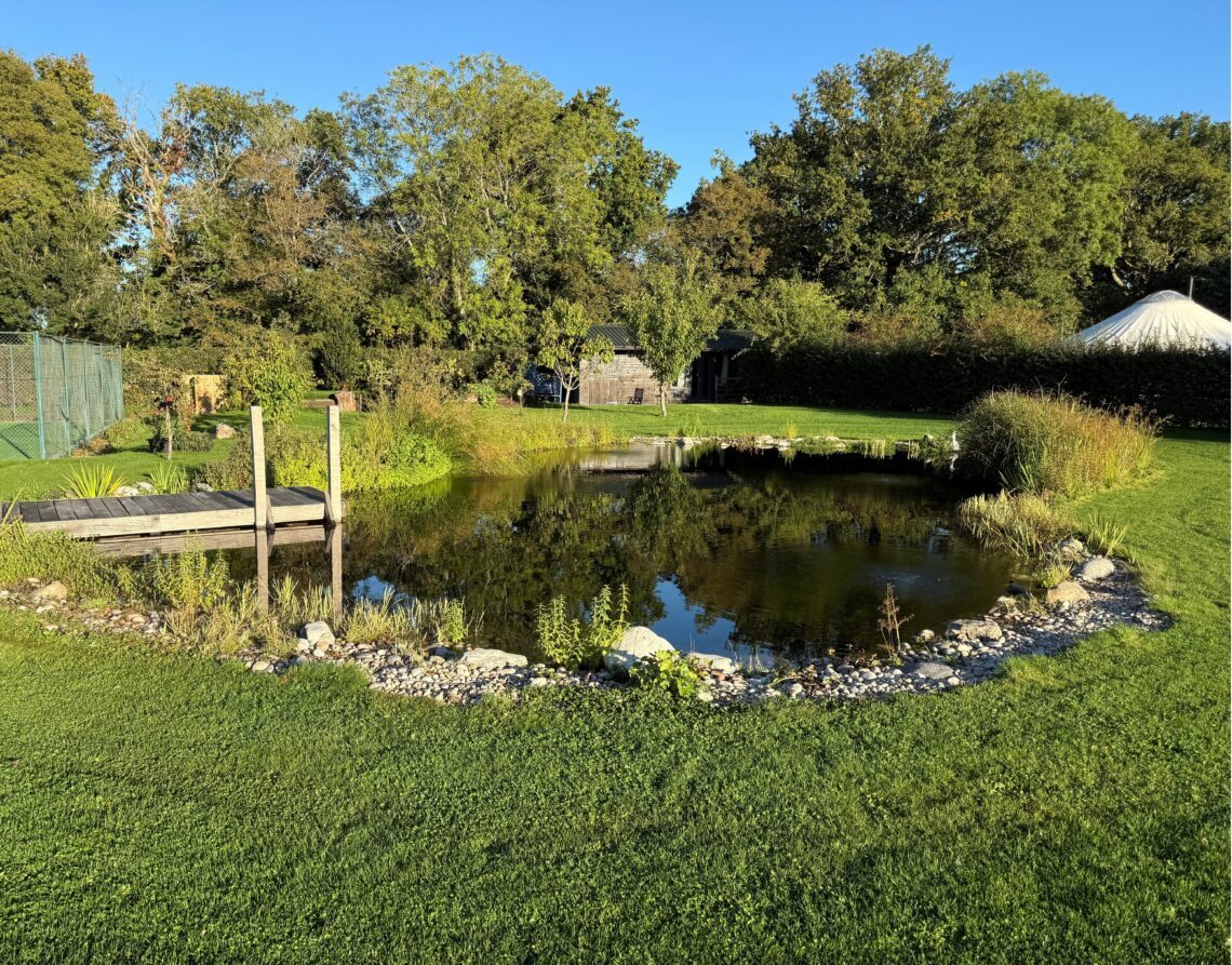 Swimming Pond Inspiration 2 West Sussex Hybrid Swimming Pond