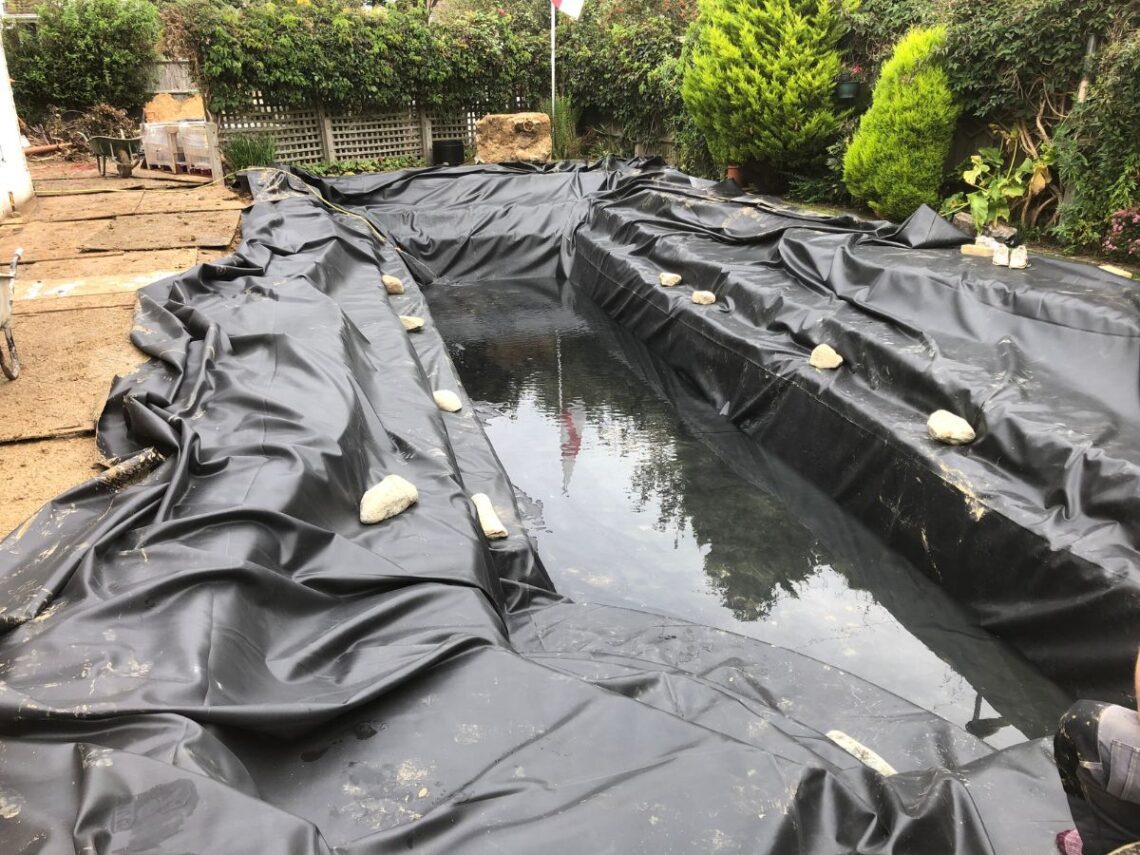 SwimPond Project - West Sussex ii 8 West Sussex ii Build 2