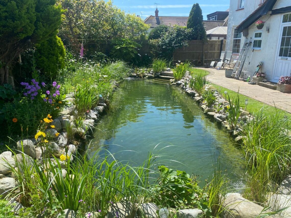SwimPond Project - West Sussex ii 11 West Sussex ii complete