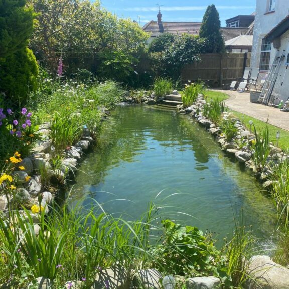 SwimPond Project - West Sussex ii 1 West Sussex ii complete