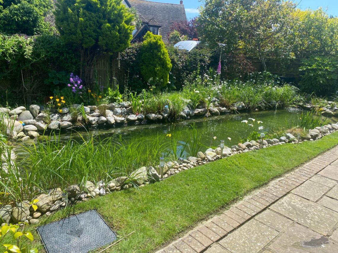 SwimPond Project - West Sussex ii 9 West Sussex ii complete1