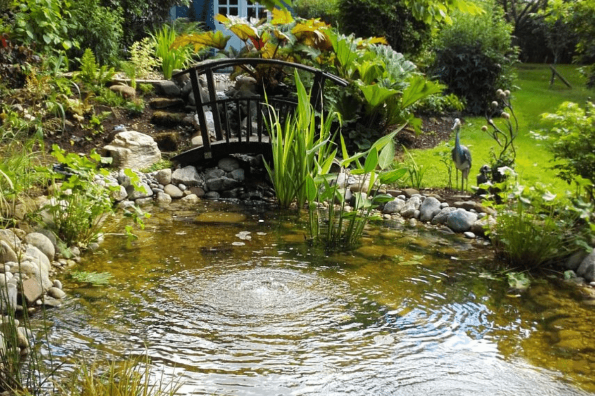 Wildlife Pond Ideas: 8 Tips To Attract Nature To Your Garden