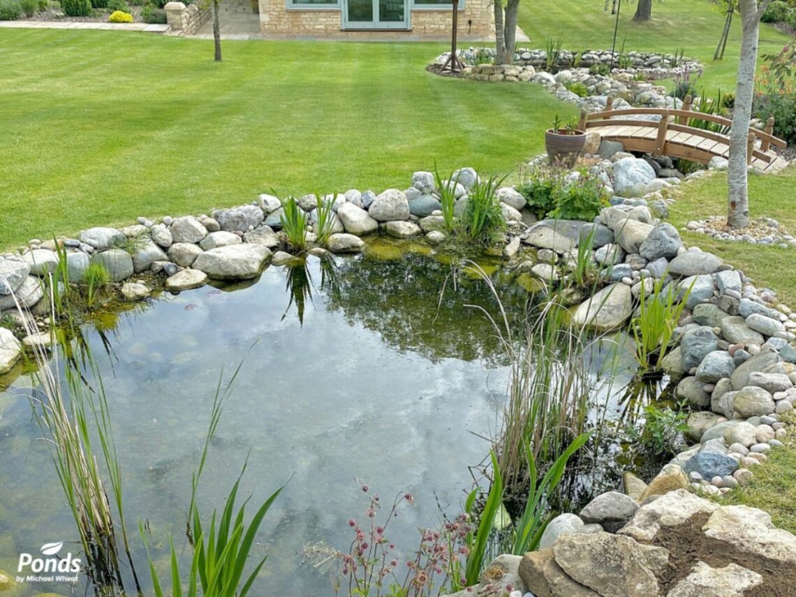 Wildlife Pond With Stream And Bridge