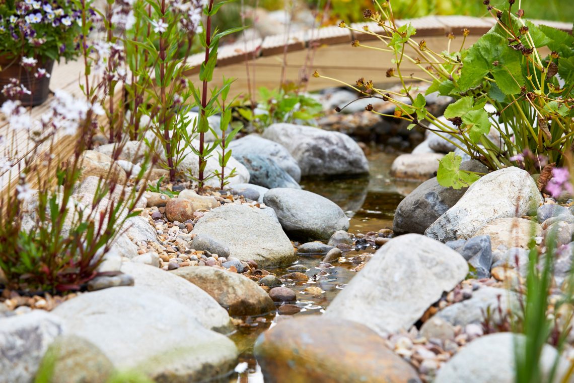 Wildlife Pond Rocks