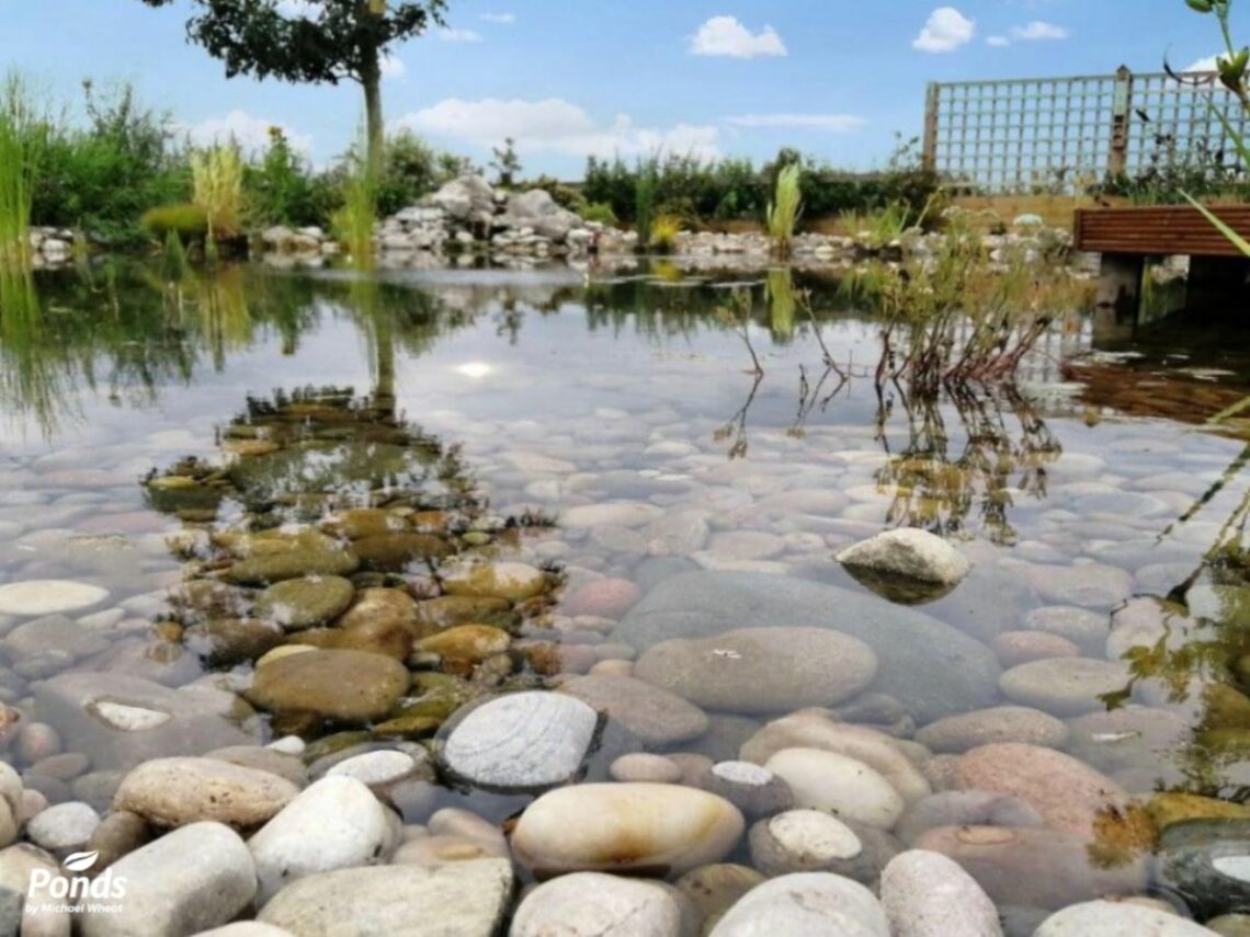 Wildlife Pond With Rocks And Pebbles