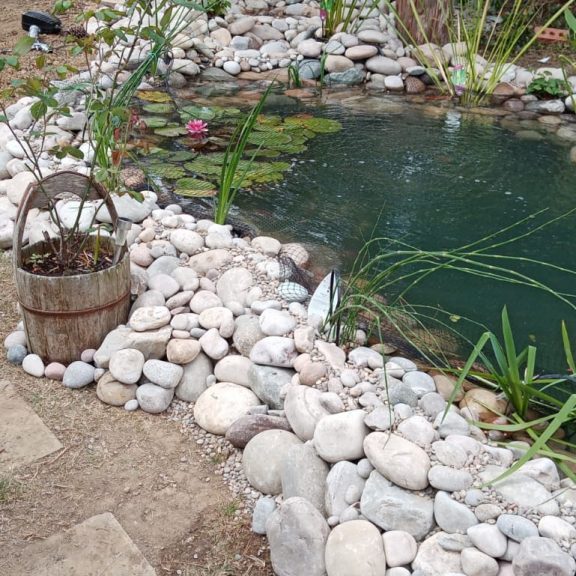 Wildlife Pond Design and Construction by Michael Wheat