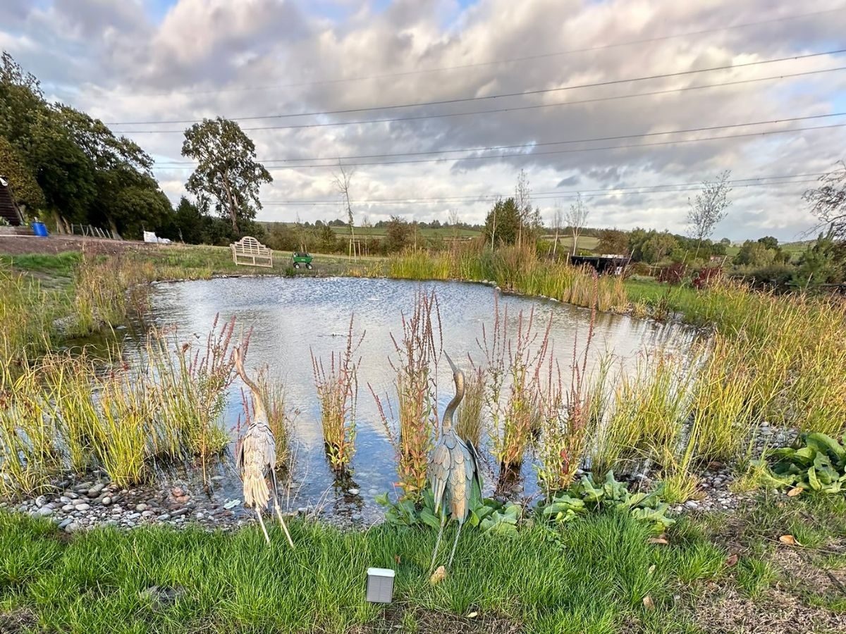 Wildlife project finished worcestershire