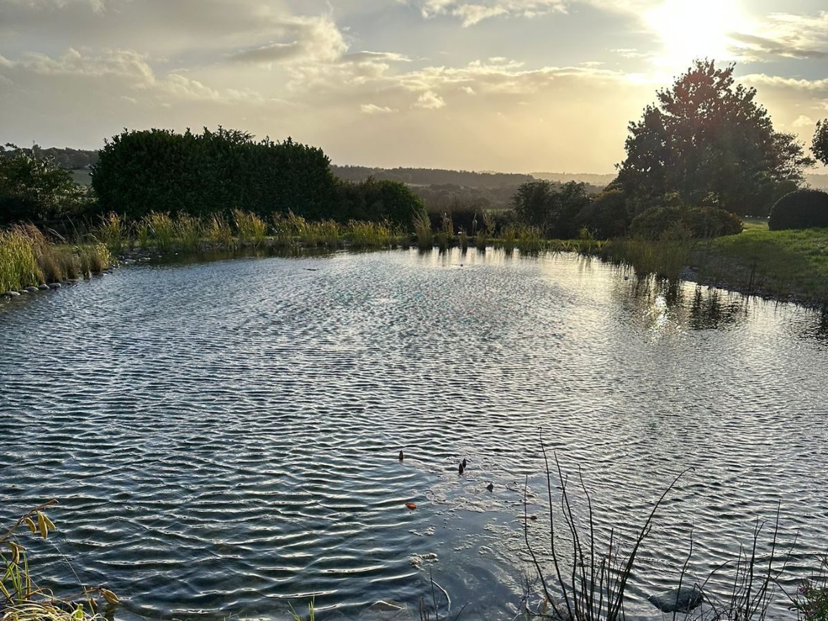Wildlife project finished2 worcestershire