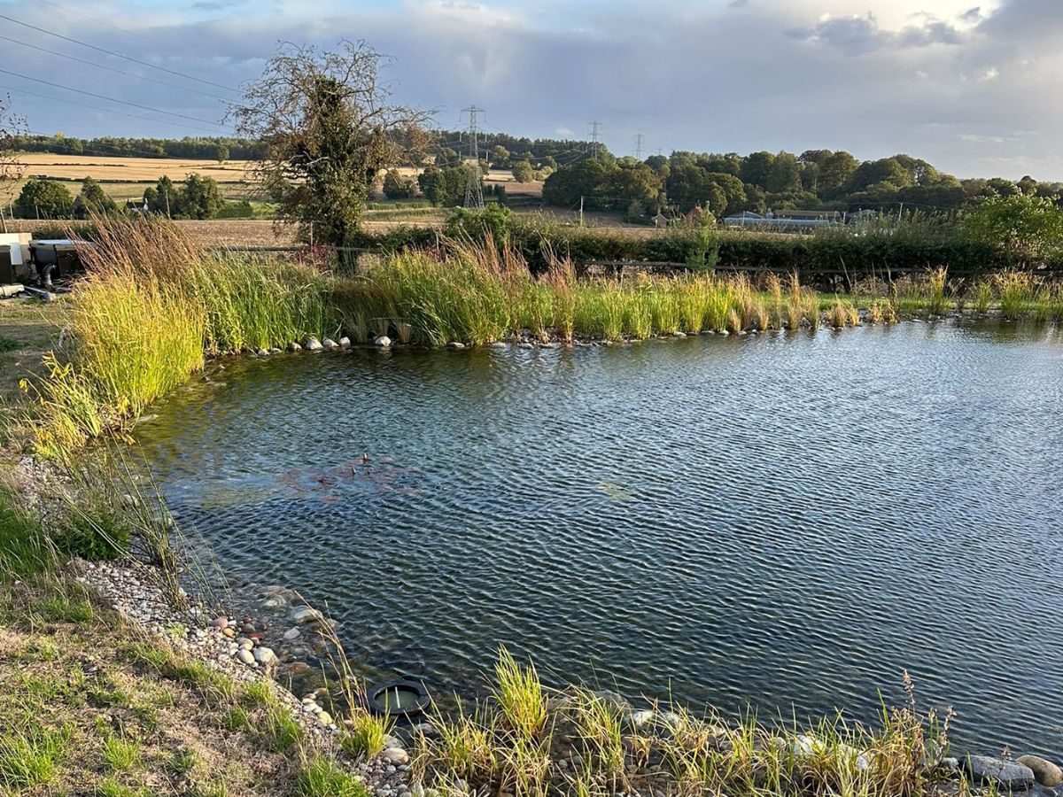 Wildlife project finished3 worcestershire