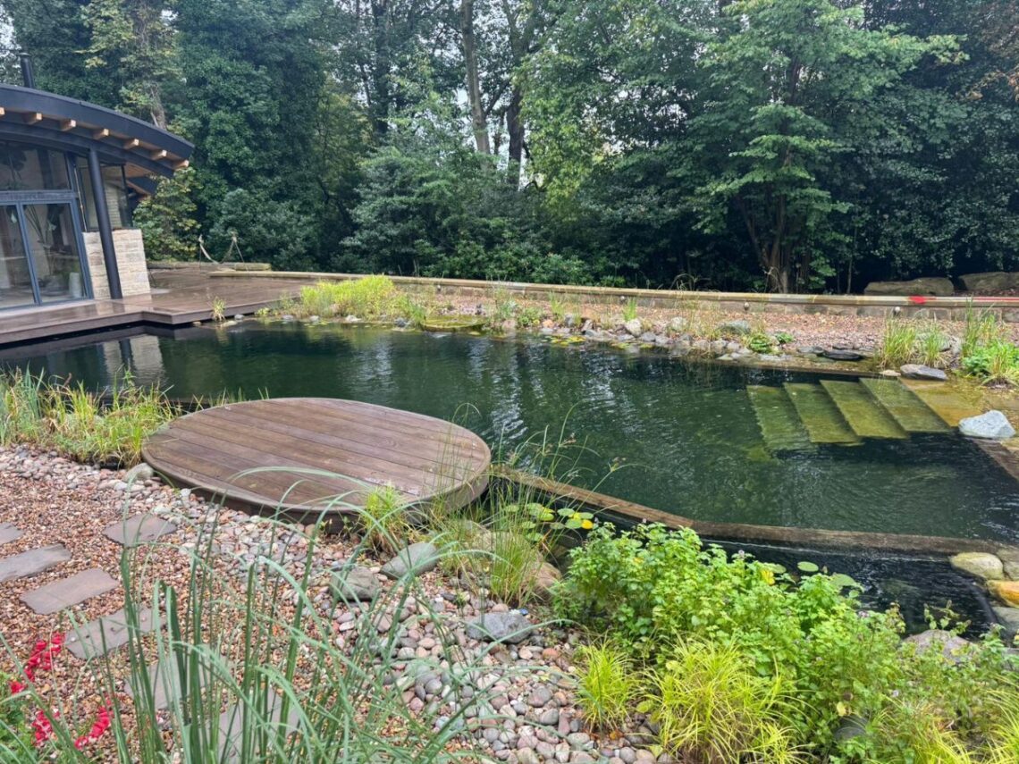 SwimPond Project - Yorkshire 12 Yorkshire Swimming pond 2