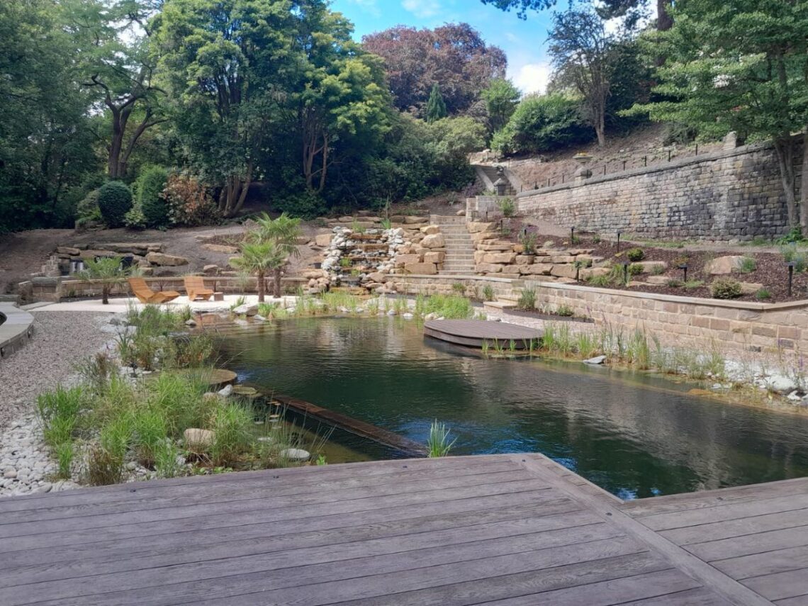 SwimPond Project - Yorkshire 13 Yorkshire Swimming pond 3