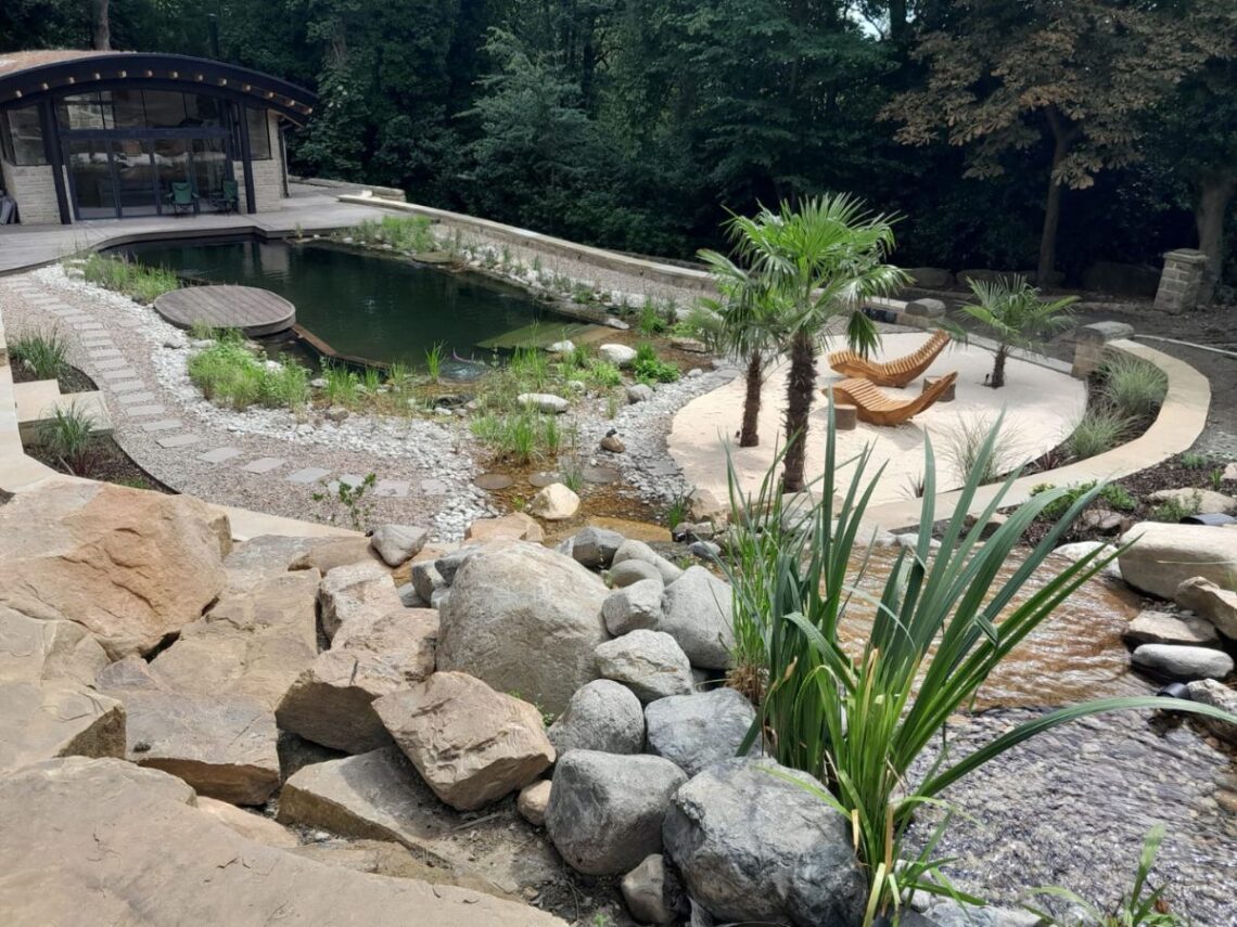 SwimPond Project - Yorkshire 14 Yorkshire Swimming pond 4