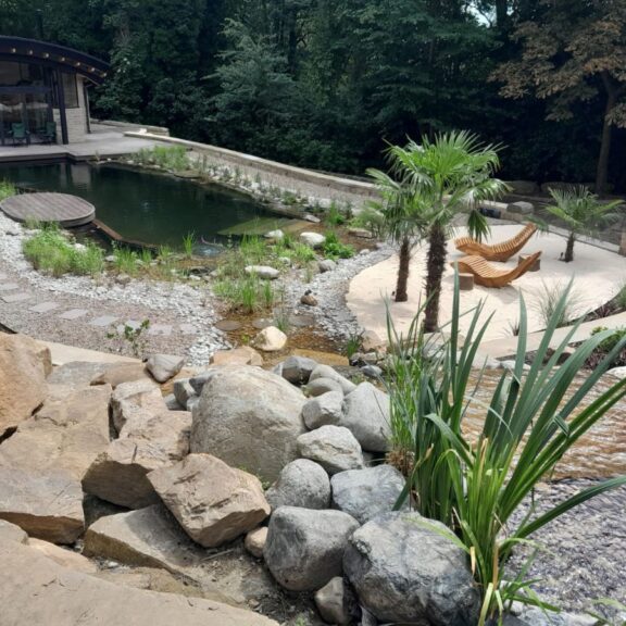 SwimPond Project - Yorkshire 2 Yorkshire Swimming pond 4