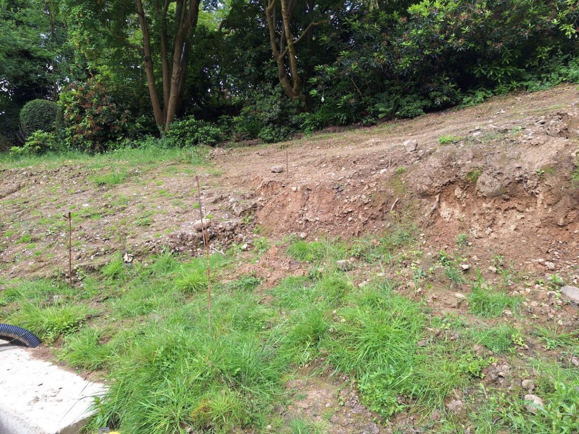 SwimPond Project - Yorkshire 1 Yorkshire site visit before