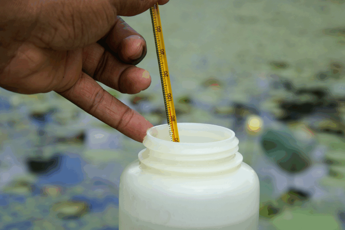How to Test Pond Water in 4 Easy Steps 1 how to test pond water