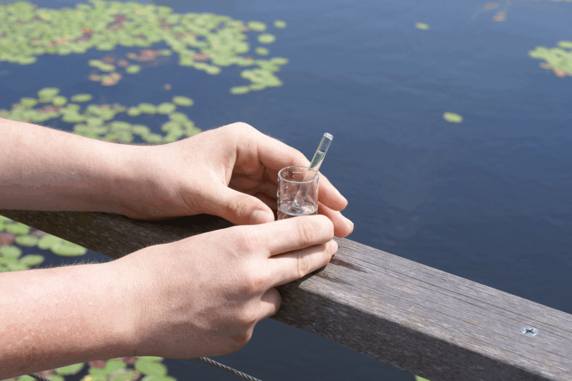 How to Test Pond Water in 4 Easy Steps 4 testing routine