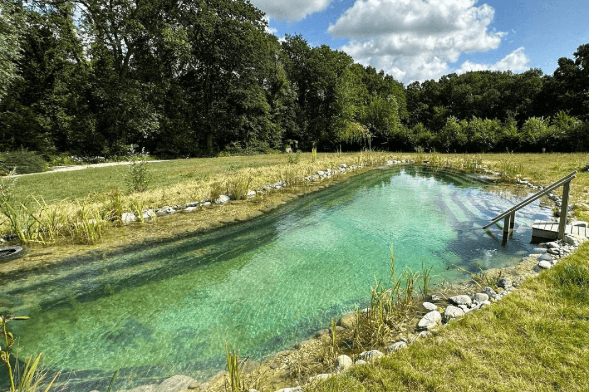 Swimming Pond