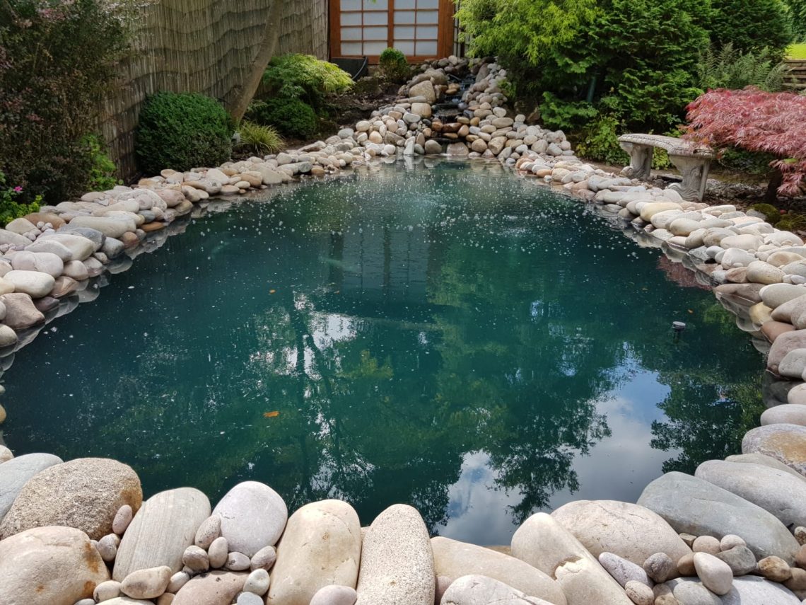 Koi Pond Reno