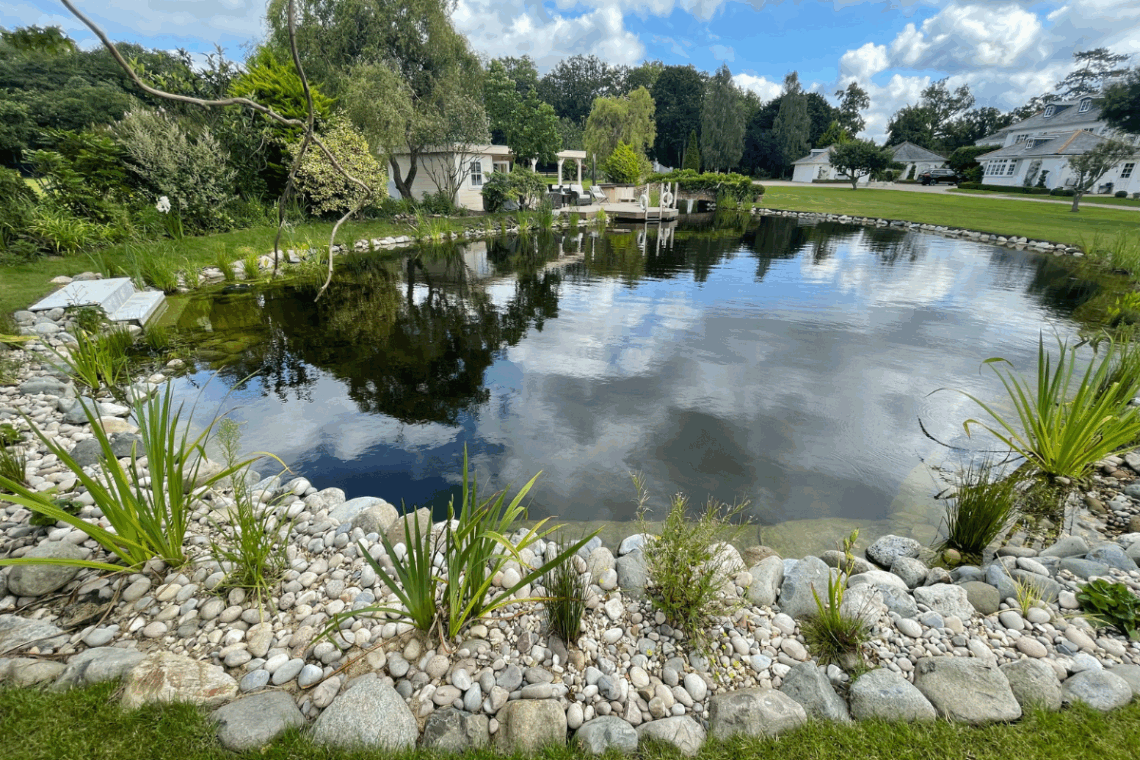 swimming pond ideas