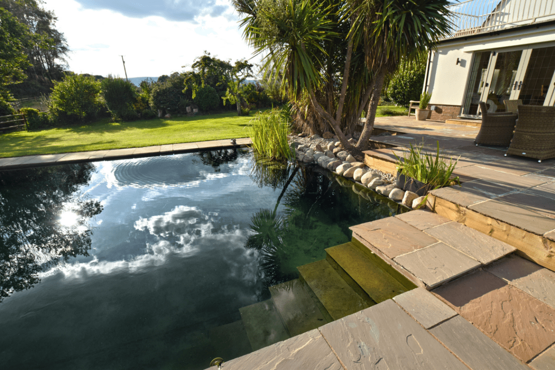 Natural Swimming Pool