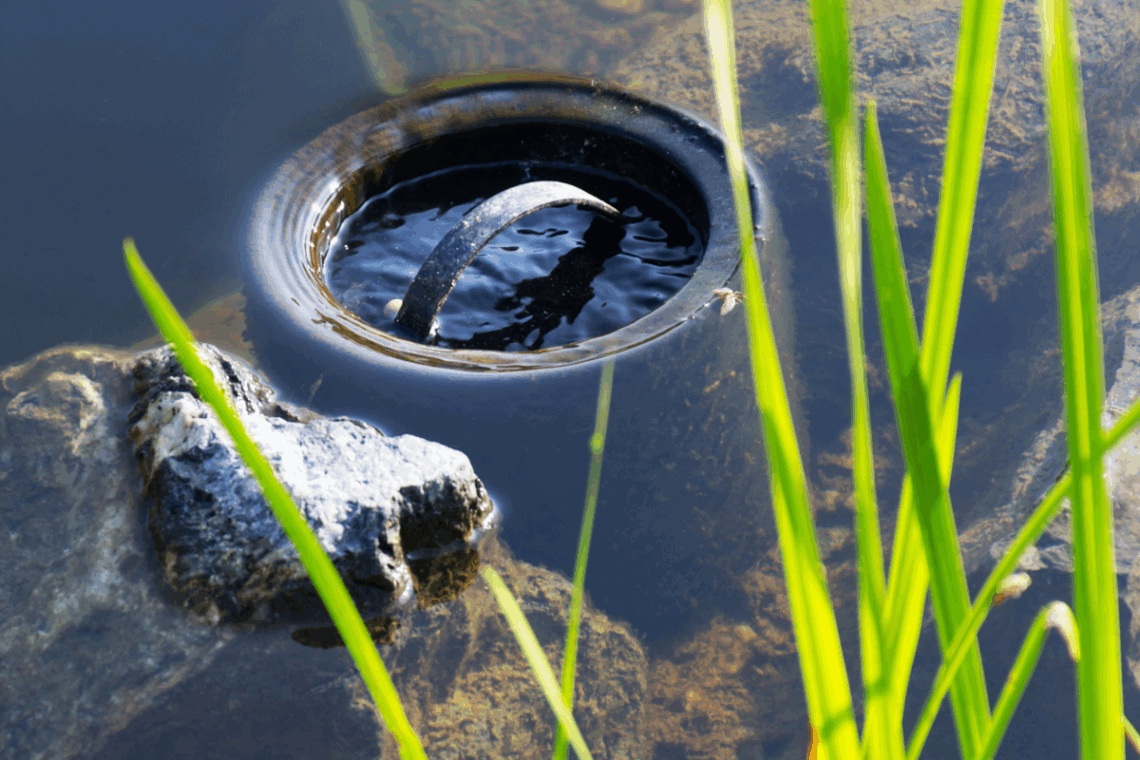 pond filter