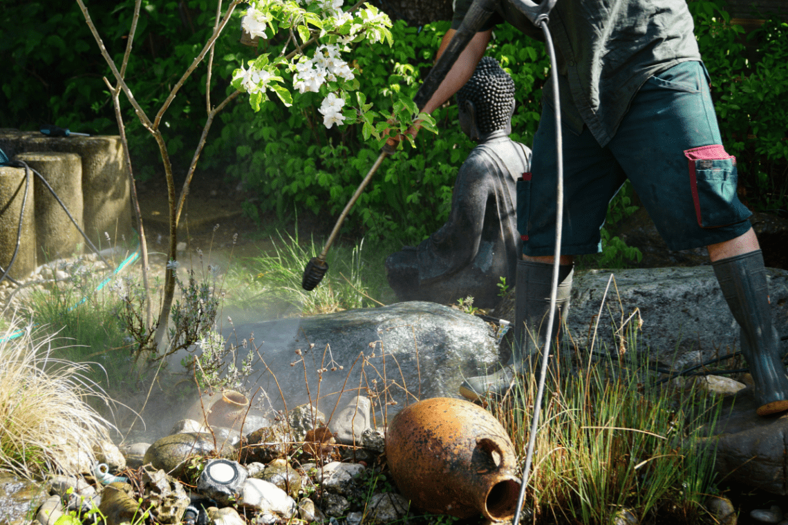 pond maintenance packages