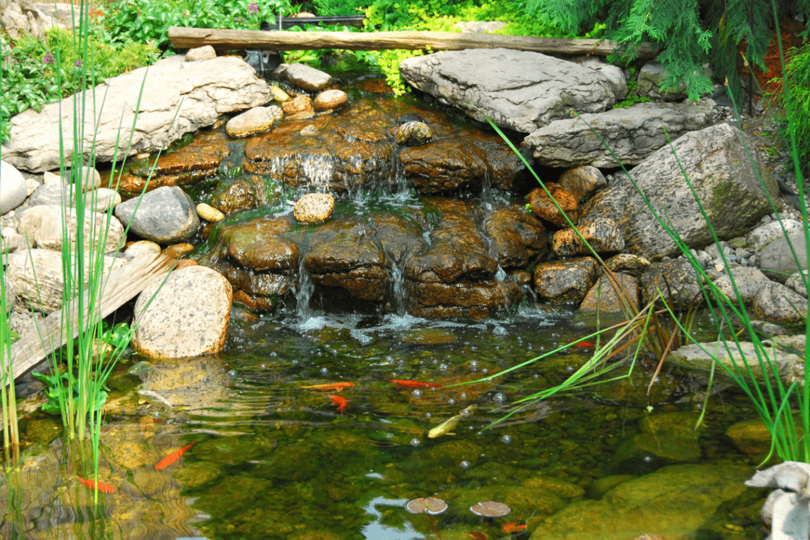 Garden Pond Water Feature