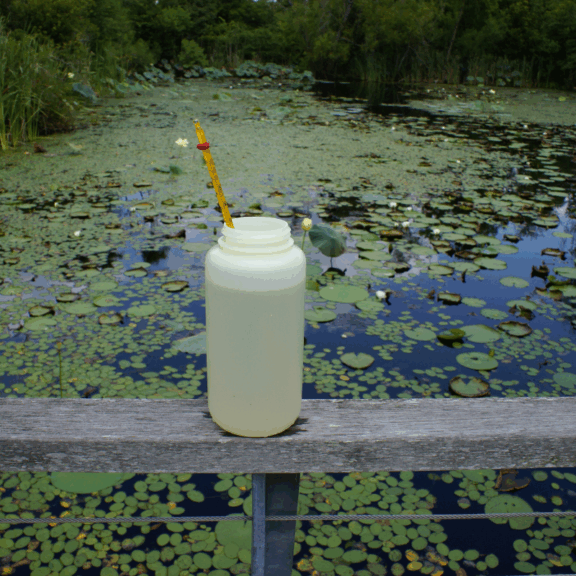how to test pond water