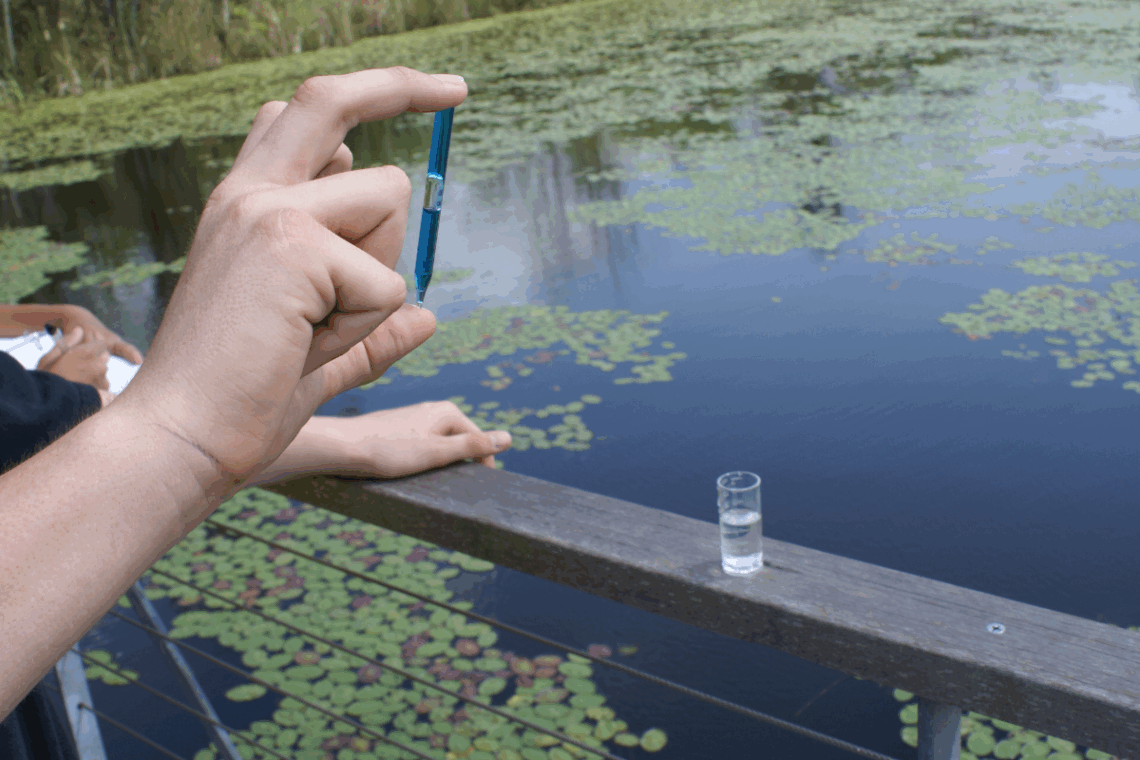 How to Test Pond Water in 4 Easy Steps 3 reading results