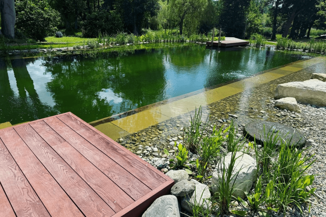 Can You Swim in a Pond: Our Definitive Guide 4 safe swimming pond design