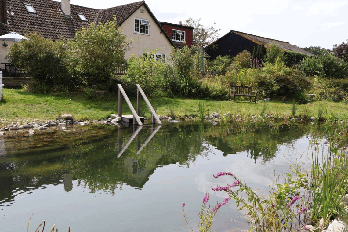 steps and railings into swimming pond