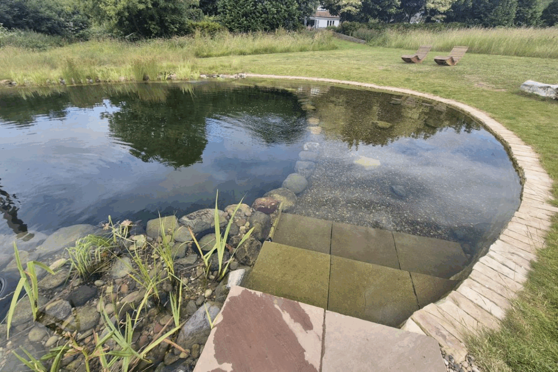 steps into swimming pond