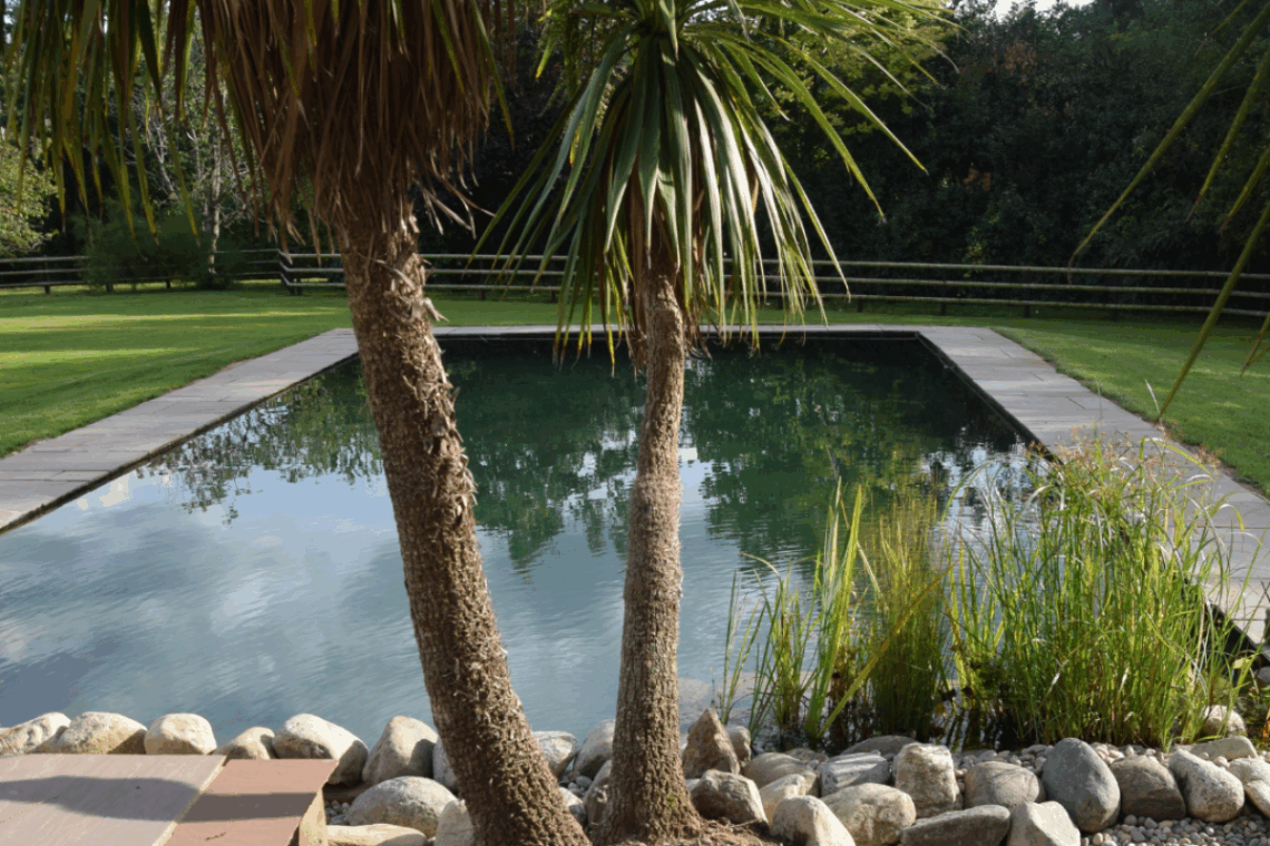 How Much Does a Swimming Pool Cost? UK Guide to Pools & Swimming Ponds 4 swim pond